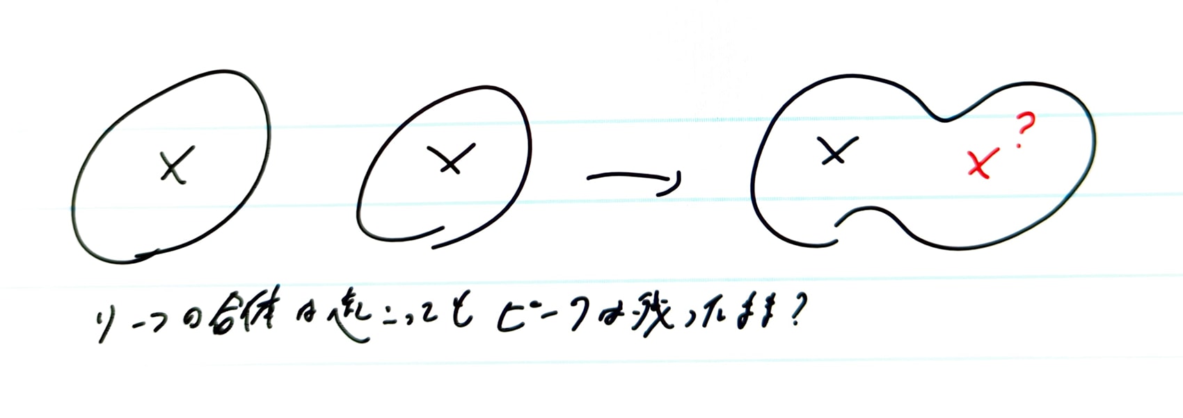 1000001025.jpg